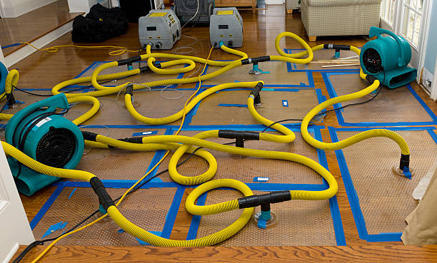 Professional Sewage Cleanup technician working in Gilbert, MN